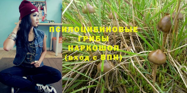 МДМА Богородицк