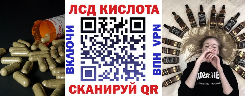 LSD-25 экстази ecstasy  Купить закладки  Нолинск 