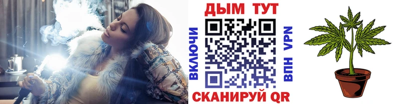 Купить где  Нолинск  МАРИХУАНА план 